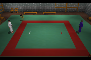 3D Judo Fighting abandonware