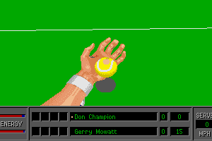 4D Sports Tennis abandonware