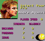 Andre Agassi Tennis abandonware