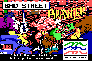 Bad Street Brawler abandonware