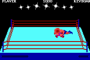 Bop'N Wrestle abandonware