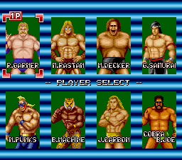 Champion Wrestler abandonware