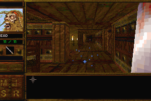 Descent to Undermountain abandonware