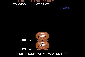 Donkey Kong 10