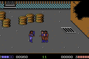 Double Dragon 3