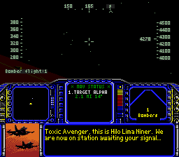 F-117 Night Storm abandonware