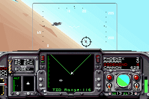 F-14 Tomcat abandonware