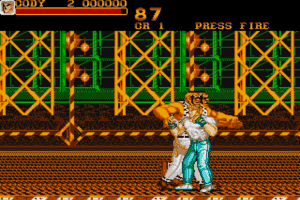 Final Fight 14