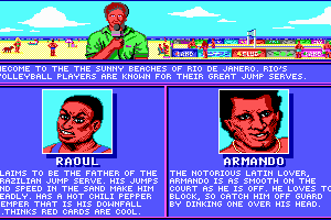 Kings of the Beach abandonware