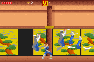 Ninja Densetsu abandonware