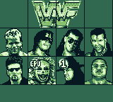 WWF Raw abandonware